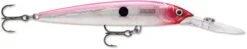 Rapala Down Deep Husky Jerk 10 Deep Diving Jerkbait -Fishing Sports Shop 12564593606711