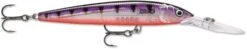 Rapala Down Deep Husky Jerk 10 Deep Diving Jerkbait -Fishing Sports Shop 12564593639479