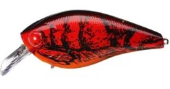 Lucky Craft LC 1.5 Deep Rattle Sound (DRS) Shallow Squarebill Crankbait 12 Lucky Craft LC 1.5 Deep Rattle Sound (DRS) Shallow Squarebill Crankbait -Fishing Sports Shop 12603022442551