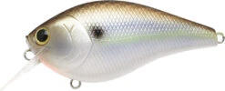 Lucky Craft LC 2.5 Shallow Squarebill Crankbait 28 Lucky Craft LC 2.5 Shallow Squarebill Crankbait -Fishing Sports Shop 12607085903927