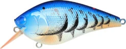Lucky Craft LC 2.5 Shallow Squarebill Crankbait 30 Lucky Craft LC 2.5 Shallow Squarebill Crankbait -Fishing Sports Shop 12607085969463