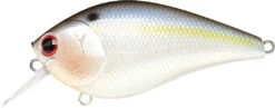 Lucky Craft LC 2.5 Shallow Squarebill Crankbait 31 Lucky Craft LC 2.5 Shallow Squarebill Crankbait -Fishing Sports Shop 12607086002231