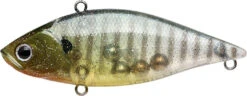 Lucky Craft LV-500 Max Lipless Crankbait -Fishing Sports Shop 12634230194231