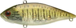 Lucky Craft LV-500 Max Lipless Crankbait -Fishing Sports Shop 12634230620215