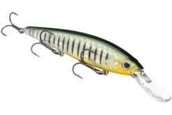 Strike King KVD 300D Series 4 1/2 Inch Deep Diving Jerkbait -Fishing Sports Shop 12699232272439
