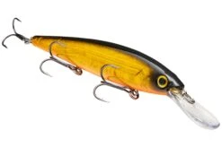 Strike King KVD 300D Series 4 1/2 Inch Deep Diving Jerkbait -Fishing Sports Shop 12699232501815
