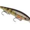 Strike King KVD 300D Series 4 1/2 Inch Deep Diving Jerkbait 1 Strike King KVD 300D Series 4 1/2 Inch Deep Diving Jerkbait -Fishing Sports Shop 12699232829495