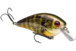 Strike King KVD 4.0 Magnum Shallow Squarebill Crankbait -Fishing Sports Shop 12721594400823