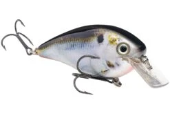 Strike King KVD 4.0 Magnum Shallow Squarebill Crankbait -Fishing Sports Shop 12721594433591