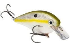 Strike King KVD 4.0 Magnum Shallow Squarebill Crankbait -Fishing Sports Shop 12721594466359