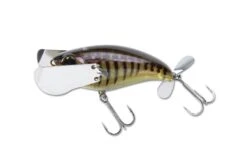 Jackall Pompadour Jr. Topwater Lure -Fishing Sports Shop 12984638144567