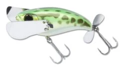 Jackall Pompadour Topwater Lure -Fishing Sports Shop 12984640864311