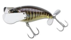 Jackall Pompadour Topwater Lure -Fishing Sports Shop 12984640897079
