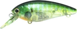 Lucky Craft Moonsault CB-100 Shallow Diving Crankbait 29 Lucky Craft Moonsault CB-100 Shallow Diving Crankbait -Fishing Sports Shop 13025143095351