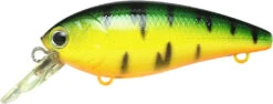 Lucky Craft Moonsault CB-100 Shallow Diving Crankbait 30 Lucky Craft Moonsault CB-100 Shallow Diving Crankbait -Fishing Sports Shop 13025143128119