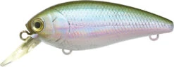 Lucky Craft Moonsault CB-100 Shallow Diving Crankbait 34 Lucky Craft Moonsault CB-100 Shallow Diving Crankbait -Fishing Sports Shop 13025143259191