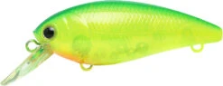 Lucky Craft Moonsault CB-100 Shallow Diving Crankbait 35 Lucky Craft Moonsault CB-100 Shallow Diving Crankbait -Fishing Sports Shop 13025143291959
