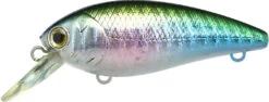 Lucky Craft Moonsault CB-100 Shallow Diving Crankbait 41 Lucky Craft Moonsault CB-100 Shallow Diving Crankbait -Fishing Sports Shop 13025143488567
