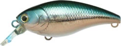 Lucky Craft Moonsault CB-50 Waking Crankbait 24 Lucky Craft Moonsault CB-50 Waking Crankbait -Fishing Sports Shop 13025150500919