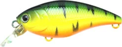 Lucky Craft Moonsault CB-50 Waking Crankbait 31 Lucky Craft Moonsault CB-50 Waking Crankbait -Fishing Sports Shop 13025150730295