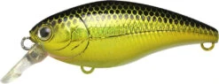 Lucky Craft Moonsault CB-50 Waking Crankbait 32 Lucky Craft Moonsault CB-50 Waking Crankbait -Fishing Sports Shop 13025150763063