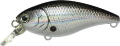 Lucky Craft Moonsault CB-50 Waking Crankbait 37 Lucky Craft Moonsault CB-50 Waking Crankbait -Fishing Sports Shop 13025150926903