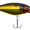 Berkley Bad Shad Medium Diving Crankbait 2 Berkley Bad Shad Medium Diving Crankbait -Fishing Sports Shop 13945542475831