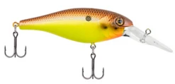 Berkley Bad Shad Medium Diving Crankbait -Fishing Sports Shop 13945542737975