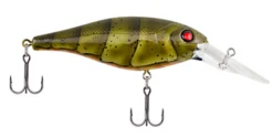 Berkley Bad Shad Medium Diving Crankbait -Fishing Sports Shop 13945543000119