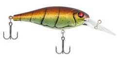 Berkley Bad Shad Medium Diving Crankbait -Fishing Sports Shop 13945543262263