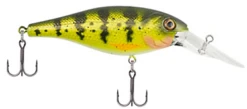 Berkley Bad Shad Medium Diving Crankbait -Fishing Sports Shop 13945543327799