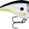 Rapala BX Big Brat 2 3/4 Inch Square Bill Crankbait 2 Rapala BX Big Brat 2 3/4 Inch Square Bill Crankbait -Fishing Sports Shop 31321538625625