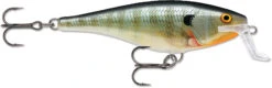Rapala Super Shad Rap 5 1/2 Inch Crankbait 24 Rapala Super Shad Rap 5 1/2 Inch Crankbait -Fishing Sports Shop 31321620545625