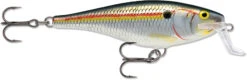 Rapala Super Shad Rap 5 1/2 Inch Crankbait 35 Rapala Super Shad Rap 5 1/2 Inch Crankbait -Fishing Sports Shop 31321620938841