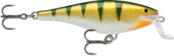 Rapala Super Shad Rap 5 1/2 Inch Crankbait 38 Rapala Super Shad Rap 5 1/2 Inch Crankbait -Fishing Sports Shop 31321621037145