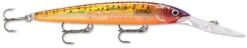 Rapala Down Deep Husky Jerk 14 Deep Diving Jerkbait 32 Rapala Down Deep Husky Jerk 14 Deep Diving Jerkbait -Fishing Sports Shop 31332608573529