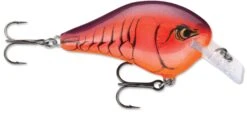 Rapala DT Fat 03 Shallow Square Bill Crankbait 12 Rapala DT Fat 03 Shallow Square Bill Crankbait -Fishing Sports Shop 31333941149785