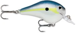 Rapala DT Fat 03 Shallow Square Bill Crankbait 13 Rapala DT Fat 03 Shallow Square Bill Crankbait -Fishing Sports Shop 31333941182553