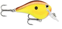 Rapala DT Fat 03 Shallow Square Bill Crankbait 14 Rapala DT Fat 03 Shallow Square Bill Crankbait -Fishing Sports Shop 31333941215321