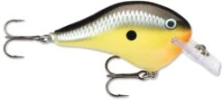 Rapala DT Fat 03 Shallow Square Bill Crankbait 15 Rapala DT Fat 03 Shallow Square Bill Crankbait -Fishing Sports Shop 31333941280857