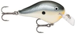 Rapala DT Fat 03 Shallow Square Bill Crankbait 16 Rapala DT Fat 03 Shallow Square Bill Crankbait -Fishing Sports Shop 31333941313625