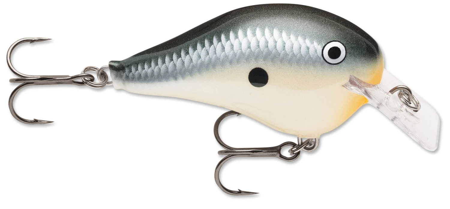 Rapala DT Fat 03 Shallow Square Bill Crankbait 9 Rapala DT Fat 03 Shallow Square Bill Crankbait - Image 7