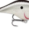Rapala DT Fat 03 Shallow Square Bill Crankbait -Fishing Sports Shop 31333941346393