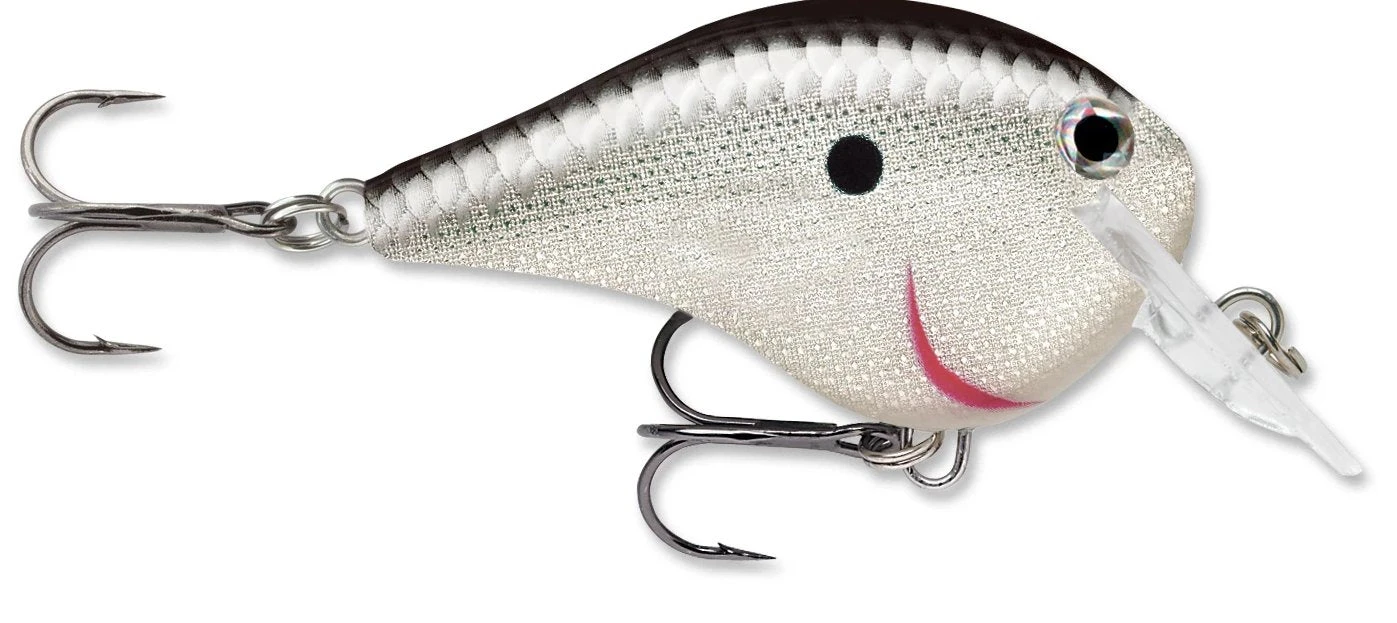 Rapala DT Fat 03 Shallow Square Bill Crankbait 3 Rapala DT Fat 03 Shallow Square Bill Crankbait
