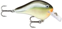 Rapala DT Fat 03 Shallow Square Bill Crankbait 17 Rapala DT Fat 03 Shallow Square Bill Crankbait -Fishing Sports Shop 31333941379161