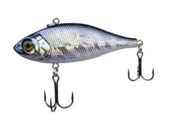 Lunkerhunt Fillet 3 Inch Lipless Crankbait -Fishing Sports Shop 31494701482073