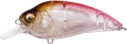 Megabass Super-Z Z-1 Medium Diving Crankbait 20 Megabass Super-Z Z-1 Medium Diving Crankbait -Fishing Sports Shop 31680779059289