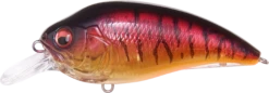 Megabass Super-Z Z-1 Medium Diving Crankbait 21 Megabass Super-Z Z-1 Medium Diving Crankbait -Fishing Sports Shop 31680779092057