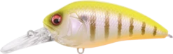 Megabass Super-Z Z-2 Deep Diving Crankbait -Fishing Sports Shop 31680796295257
