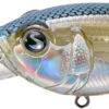River2Sea Tactical DD 3 Inch Deep Diving Crankbait -Fishing Sports Shop 32062339252313